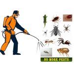 Quality Pest Control Services: Investing in Your Peace of Mind
